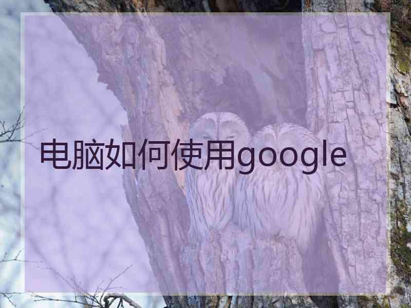 电脑如何使用google