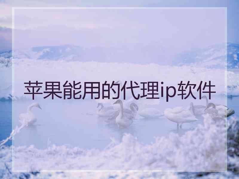苹果能用的代理ip软件
