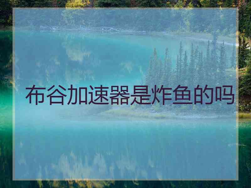 布谷加速器是炸鱼的吗