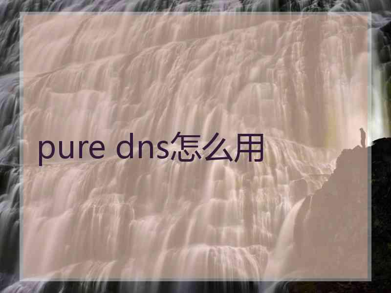 pure dns怎么用