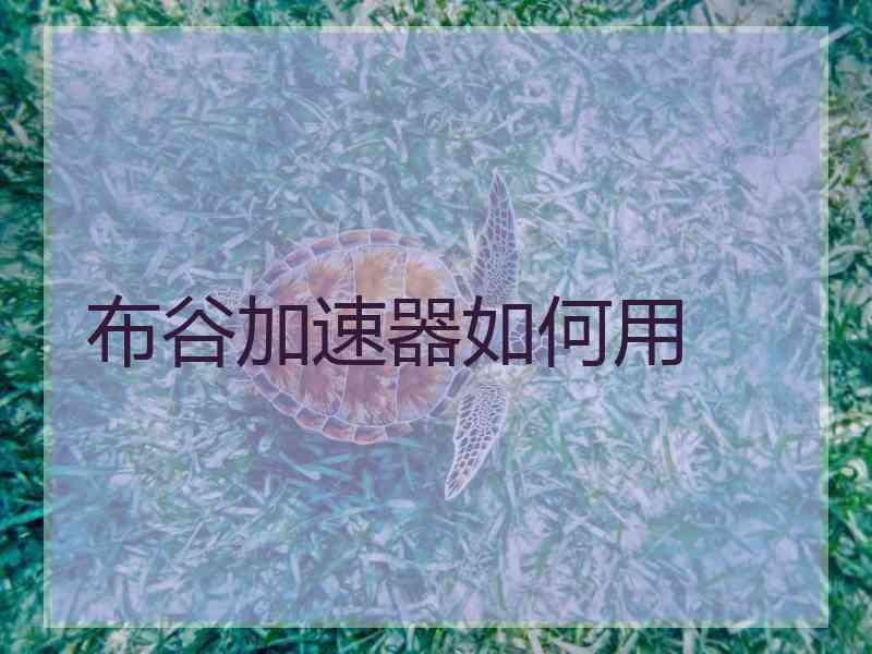 布谷加速器如何用