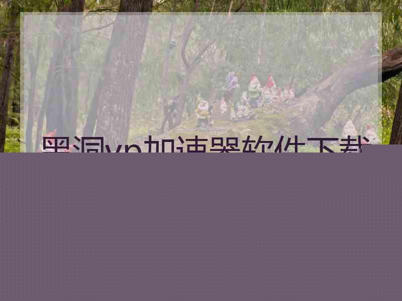 黑洞vp加速器软件下载
