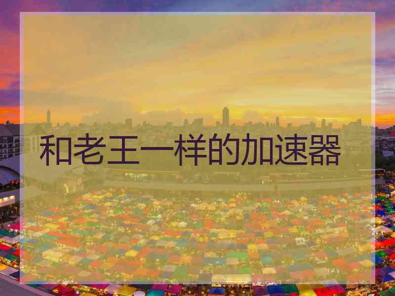 和老王一样的加速器