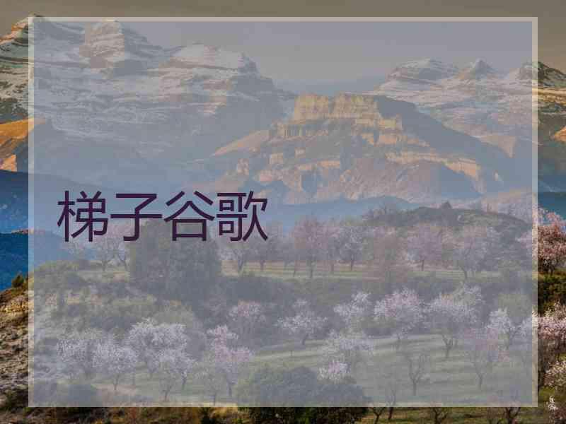 梯子谷歌