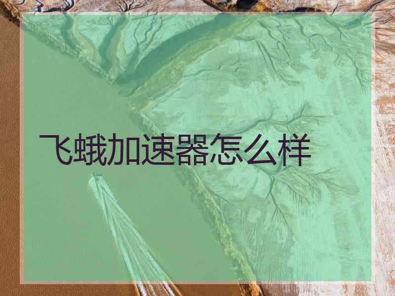 飞蛾加速器怎么样