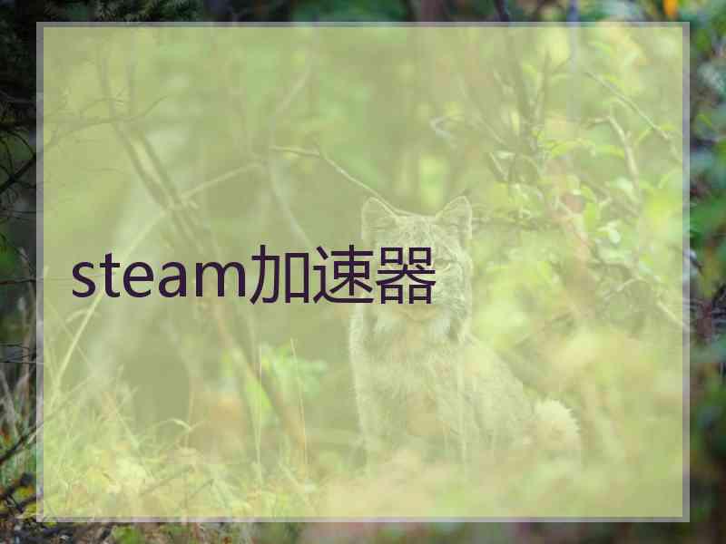 steam加速器
