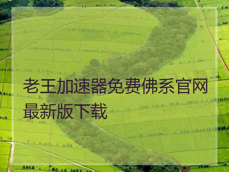 老王加速器免费佛系官网最新版下载