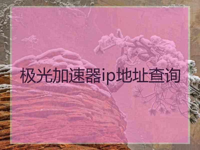 极光加速器ip地址查询