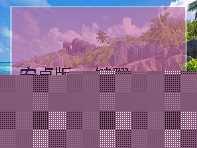 安卓版 一键翻