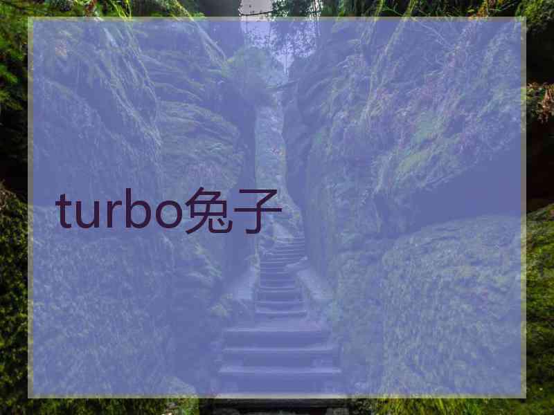 turbo兔子