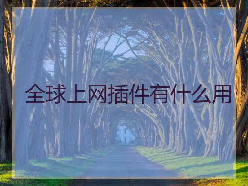 全球上网插件有什么用