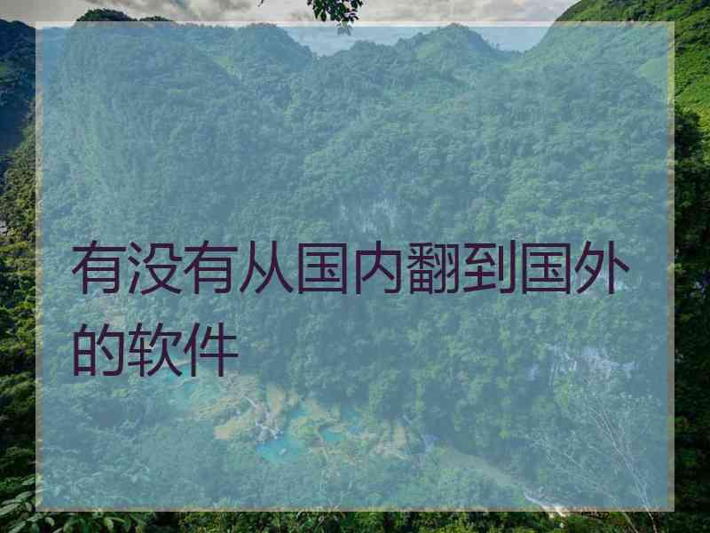有没有从国内翻到国外的软件