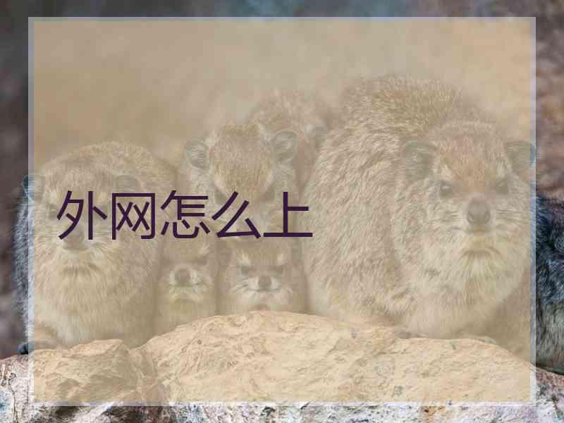 外网怎么上