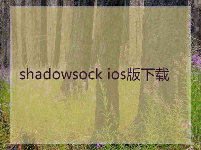 shadowsock ios版下载
