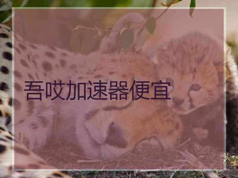 吾哎加速器便宜