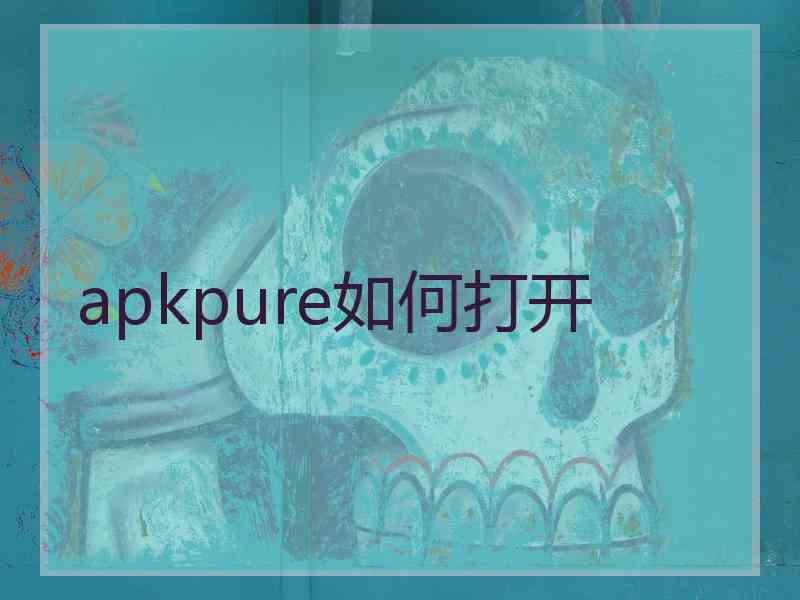 apkpure如何打开