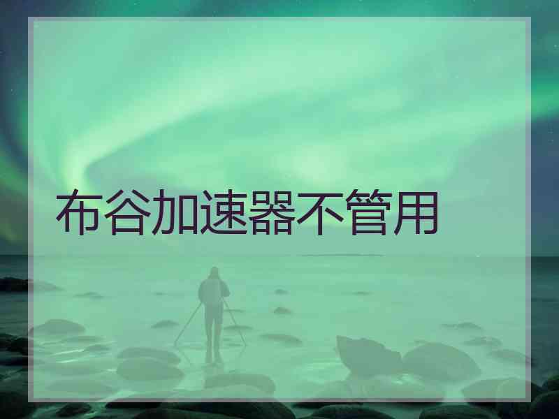 布谷加速器不管用