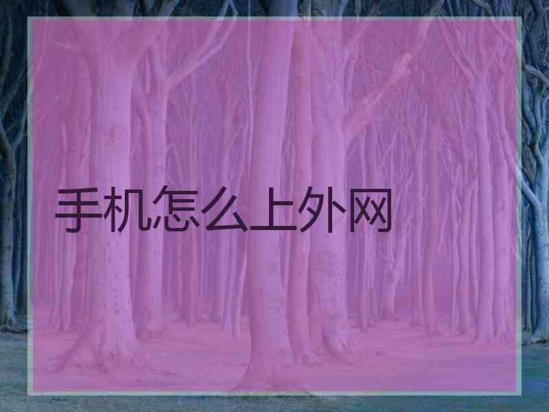 手机怎么上外网