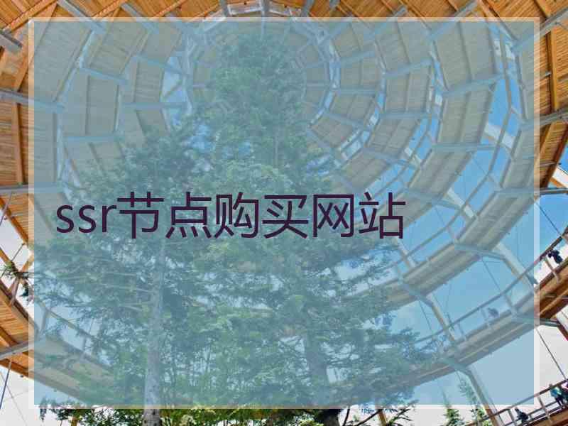 ssr节点购买网站