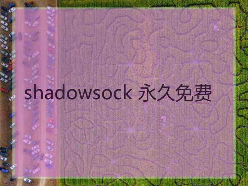 shadowsock 永久免费