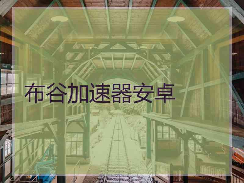 布谷加速器安卓