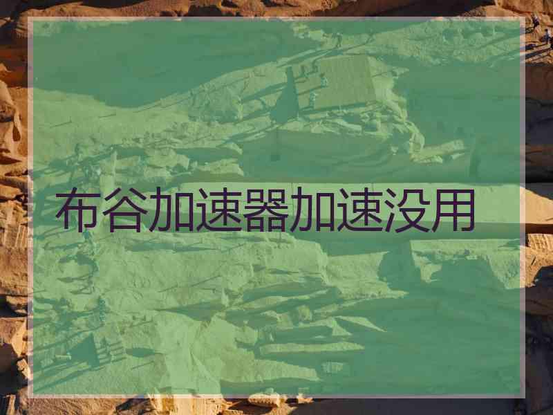布谷加速器加速没用