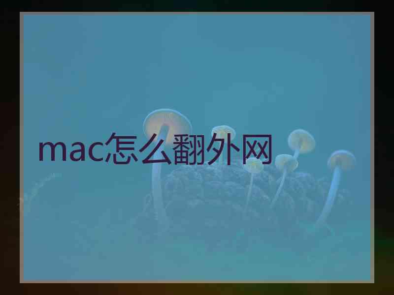 mac怎么翻外网
