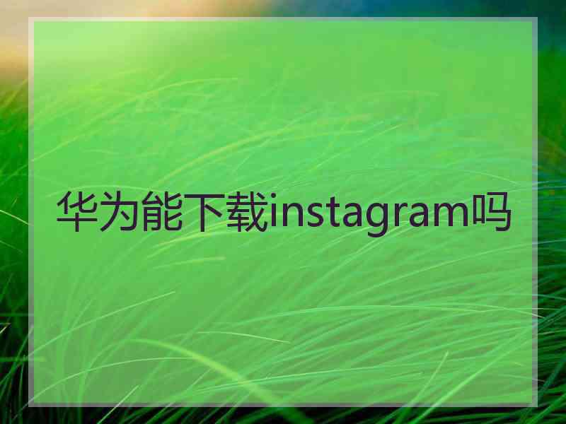 华为能下载instagram吗