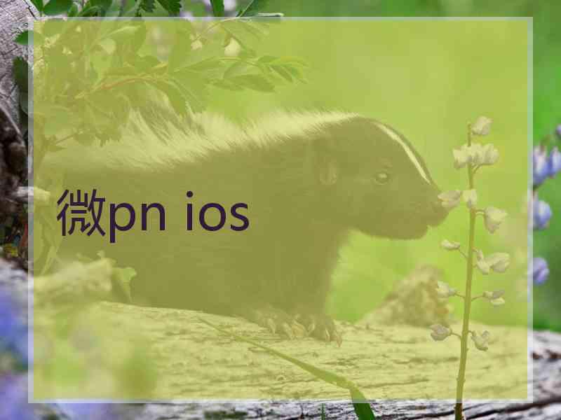 微pn ios
