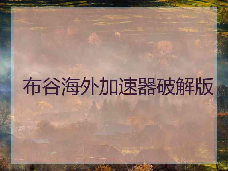 布谷海外加速器破解版