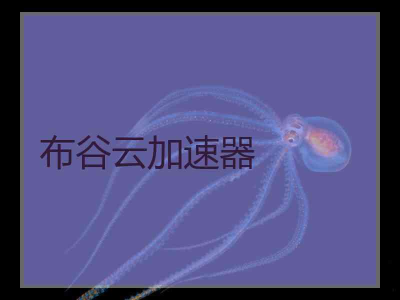 布谷云加速器