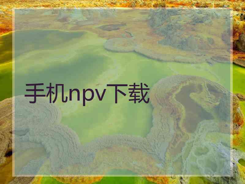 手机npv下载