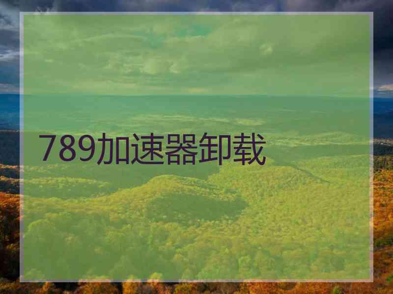789加速器卸载