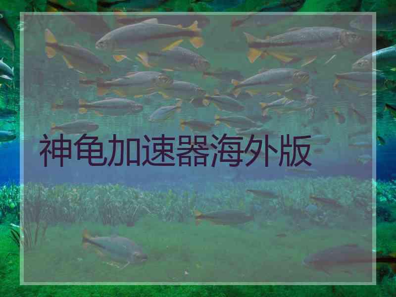 神龟加速器海外版