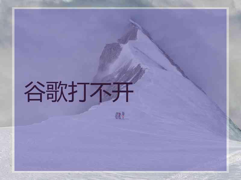 谷歌打不开