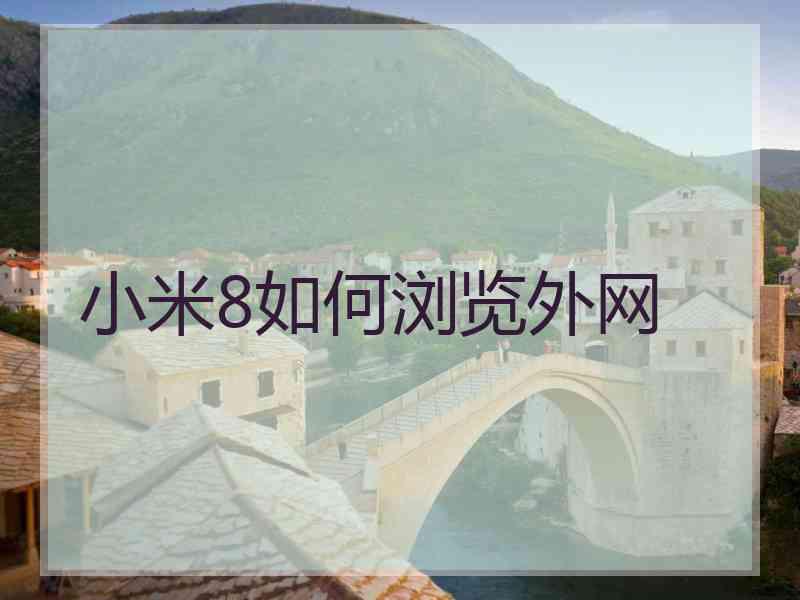 小米8如何浏览外网
