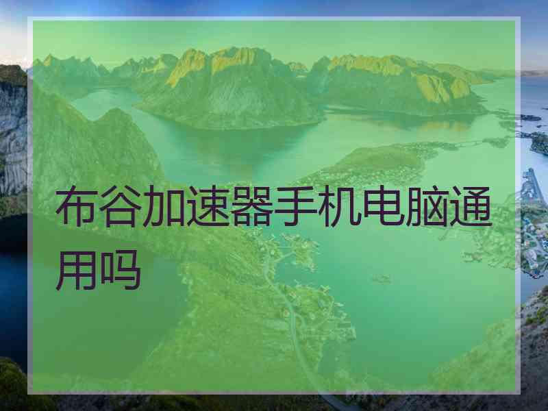 布谷加速器手机电脑通用吗