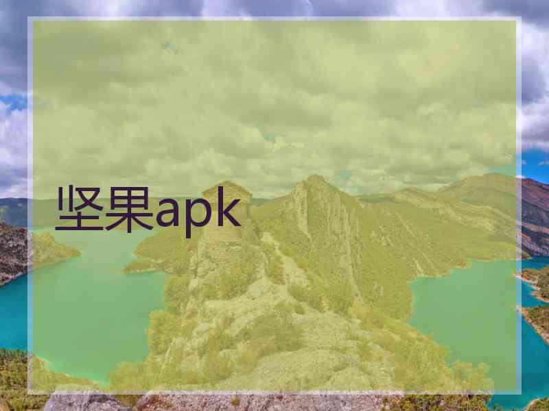 坚果apk