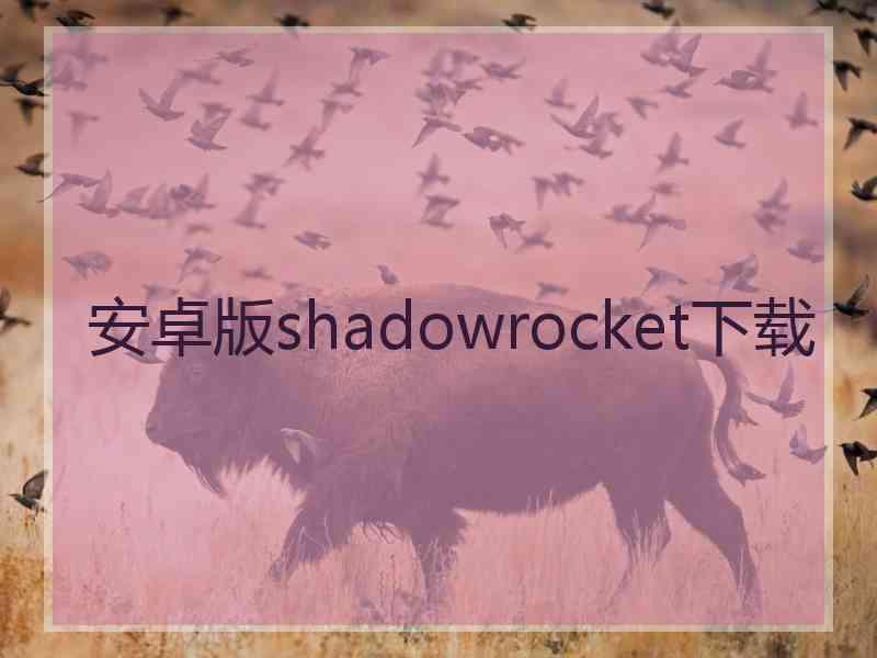 安卓版shadowrocket下载