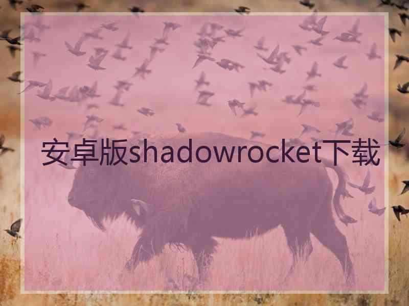 安卓版shadowrocket下载