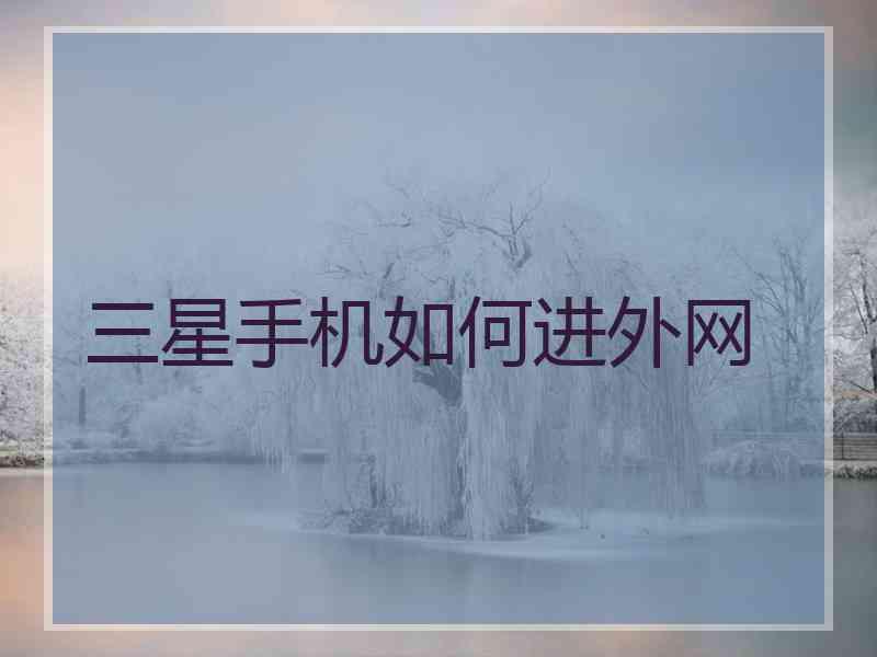 三星手机如何进外网