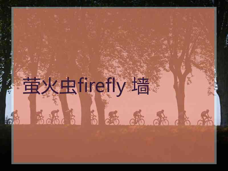 萤火虫firefly 墙