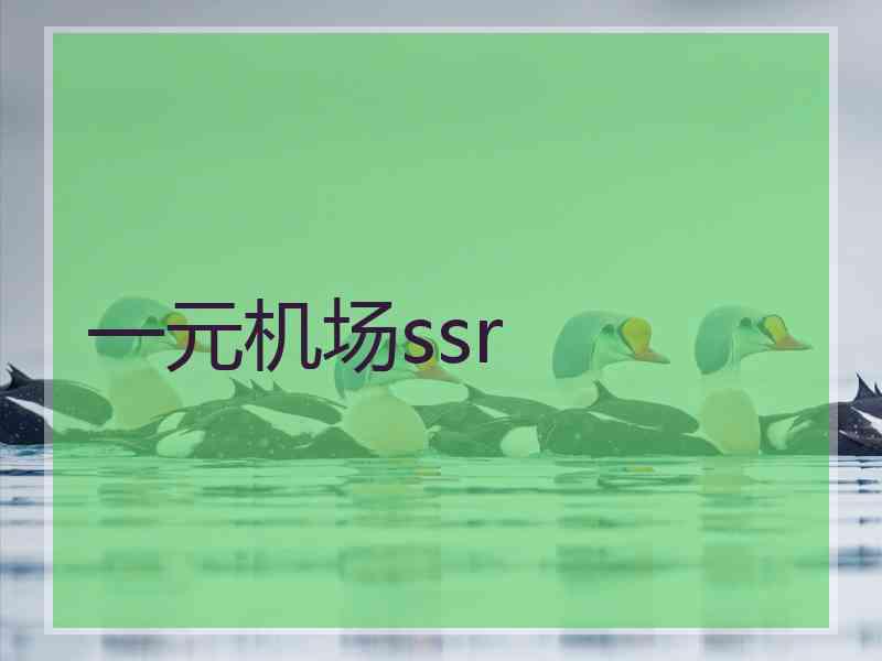 一元机场ssr