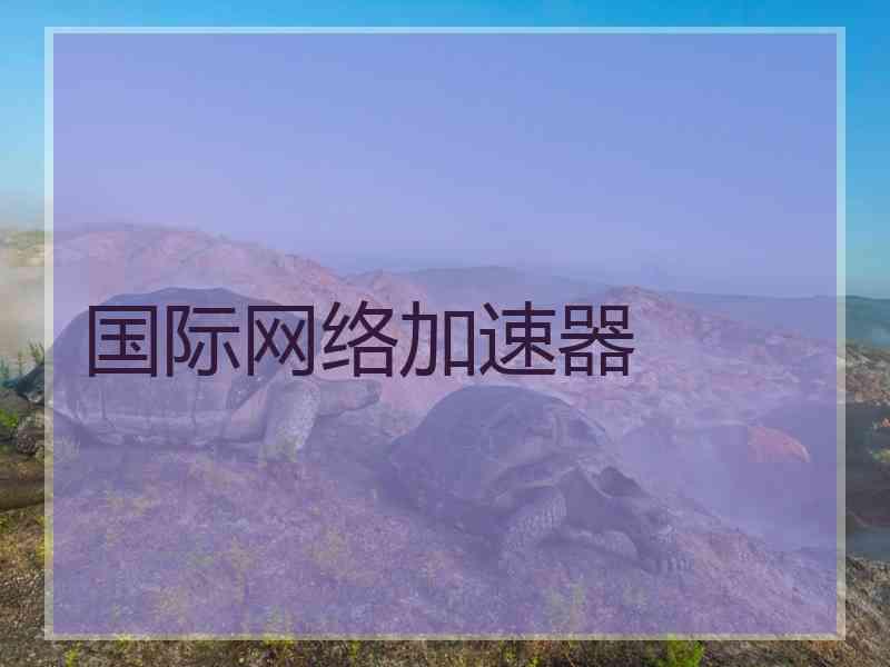 国际网络加速器