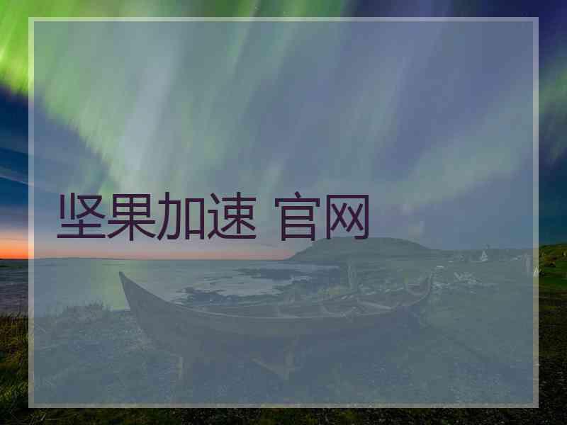 坚果加速 官网