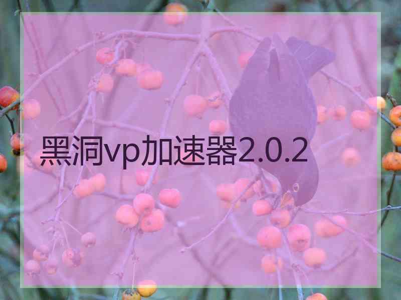 黑洞vp加速器2.0.2