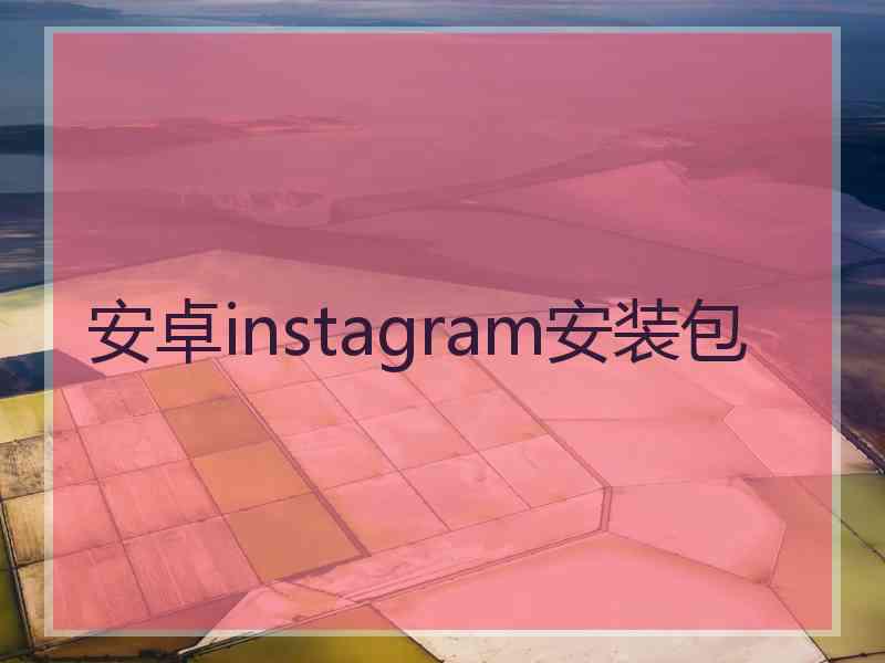 安卓instagram安装包