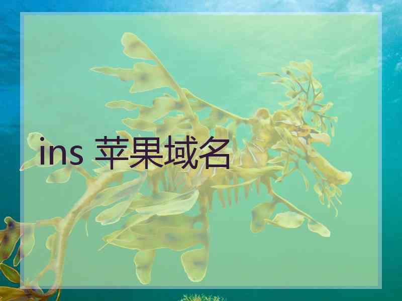ins 苹果域名
