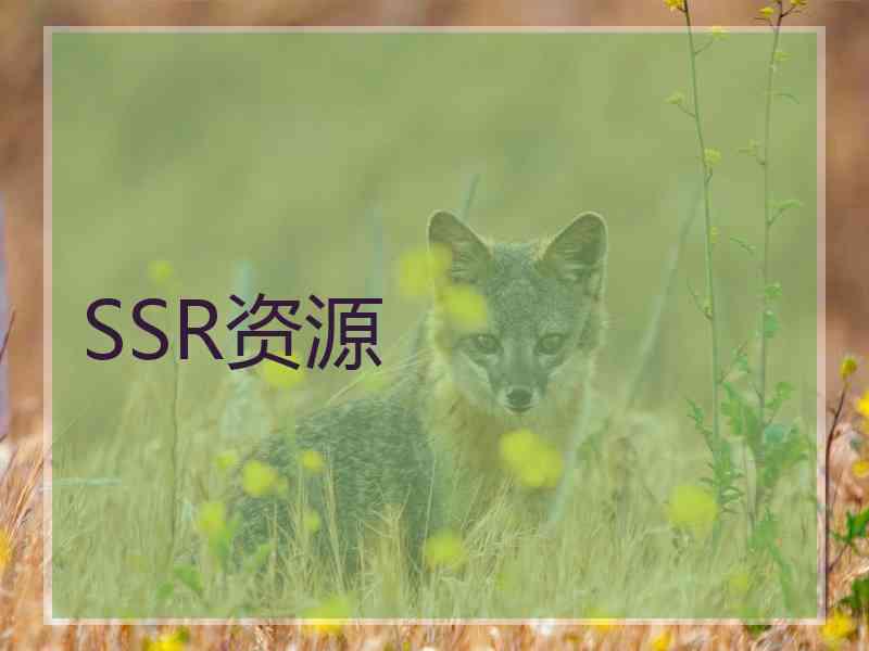 SSR资源