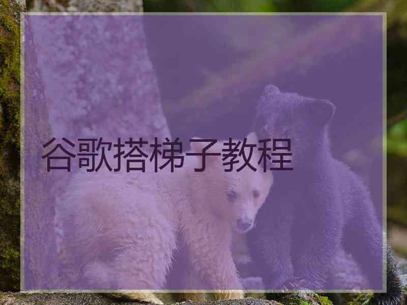 谷歌搭梯子教程